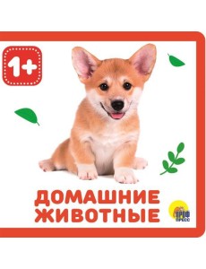 КНИЖКИ НА ПЕНЕ. ДОМАШНИЕ ЖИВОТНЫЕ КНИЖКИ НА ПЕНЕ. ДОМАШНИЕ ЖИВОТНЫЕ