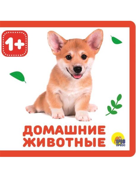 КНИЖКИ НА ПЕНЕ. ДОМАШНИЕ ЖИВОТНЫЕ