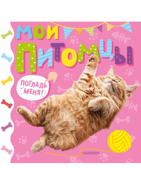 Мои питомцы