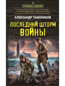 Последний шторм войны