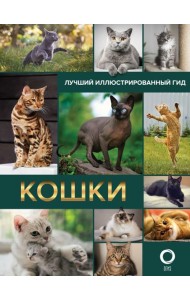 Кошки. Лучший иллюстрированный гид