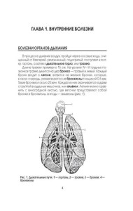 Медицинская энциклопедия