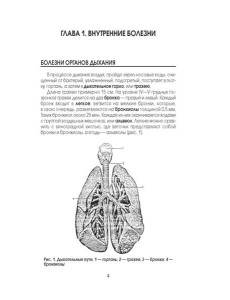 Медицинская энциклопедия Медицинская энциклопедия