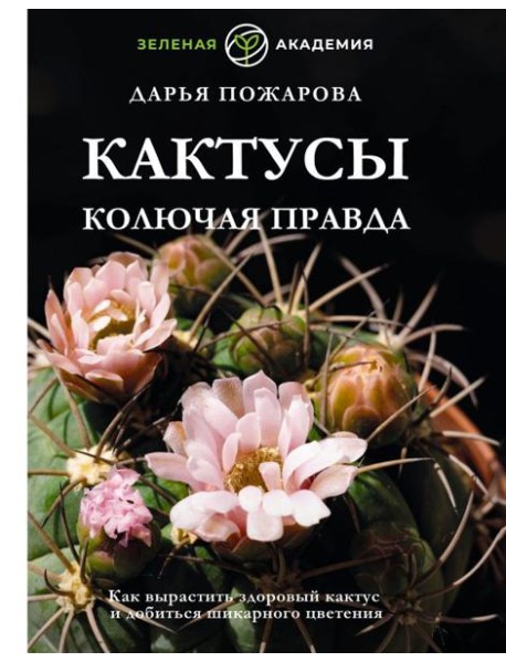 Кактусы. Колючая правда