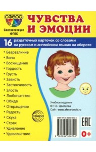 Демонстрационные картинки. Чувства и эмоции: 16 демонстрационных картинок с текстом