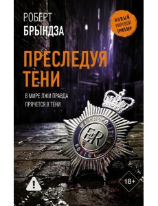 Преследуя тени: роман