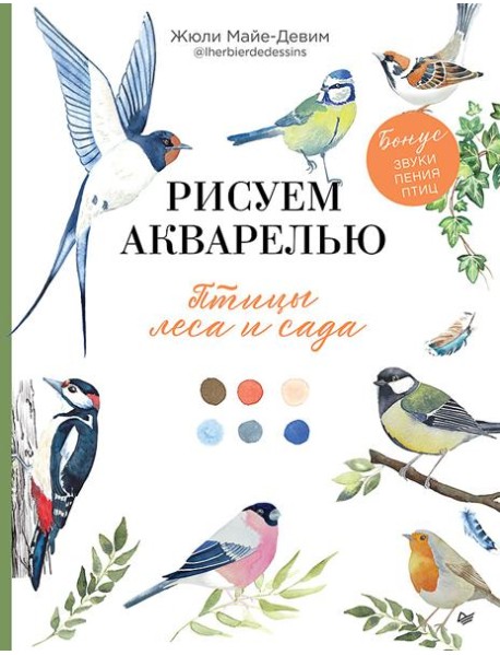 Рисуем акварелью: птицы леса и сада