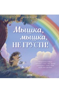 Мышка, Мышка, не грусти!