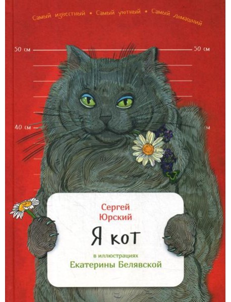 Я кот