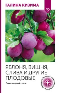 Яблоня, вишня, слива и другие плодовые. Плодотворный сезон
