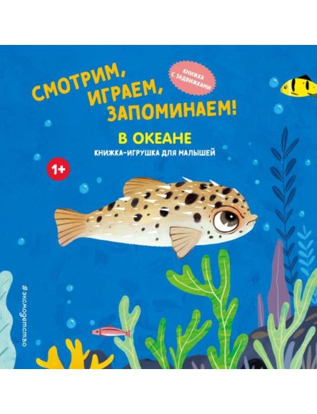 Смотрим, играем, запоминаем! В океане