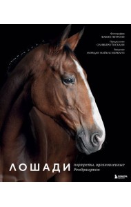 Лошади. Портреты, вдохновленные Рембрандтом. Эксклюзивный фотоальбом