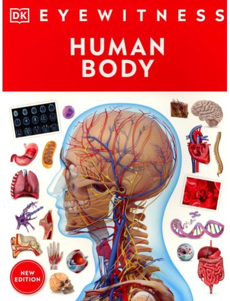 Eyewitness - Human Body