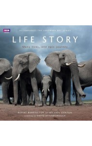 Life Story: Many Lives, One Epic Journey