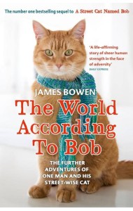 The World According to Bob (James Bowen) Мир глазами кота Боба (Джеймс Боуэн) / Книги на английском языке