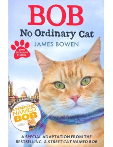 Bob. No Ordinary Cat