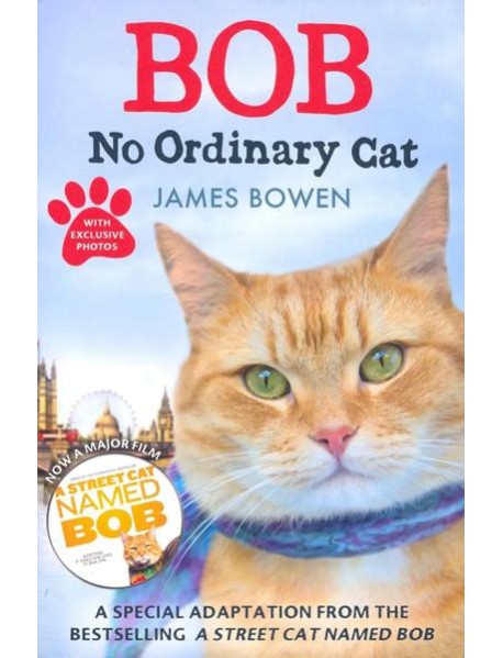 Bob. No Ordinary Cat