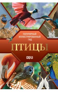 Птицы. Иллюстрированный гид