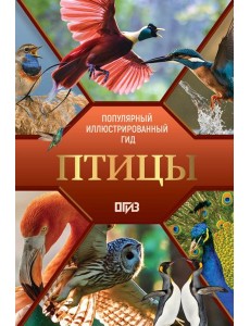 Птицы. Иллюстрированный гид