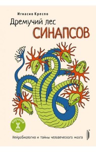 Дремучий лес синапсов. Нейробиология и тайны челов