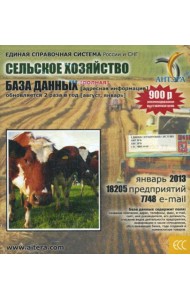 CD. Информационные услуги, база данных 