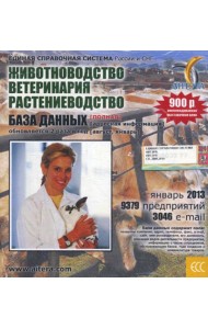 CD. Информационные услуги БД 