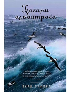 Глазами альбатроса Глазами альбатроса