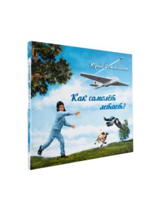 Как самолет летает? Как самолет летает?