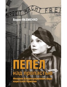 Пепел над пропастью