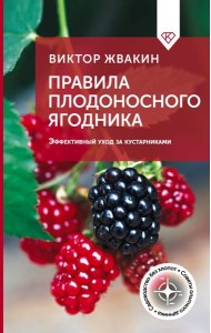 Правила плодоносного ягодника. Эффективный уход за кустарниками