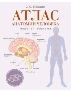 Атлас анатомии человека. Нервная система Атлас анатомии человека. Нервная система