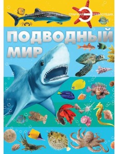 Подводный мир Подводный мир