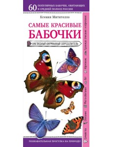 Бабочки. Наглядный карманный определитель (для ПР)