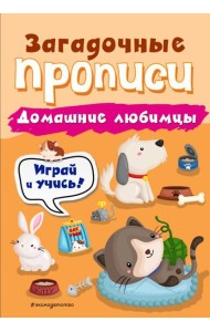 Домашние любимцы