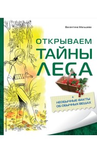Открываем тайны леса