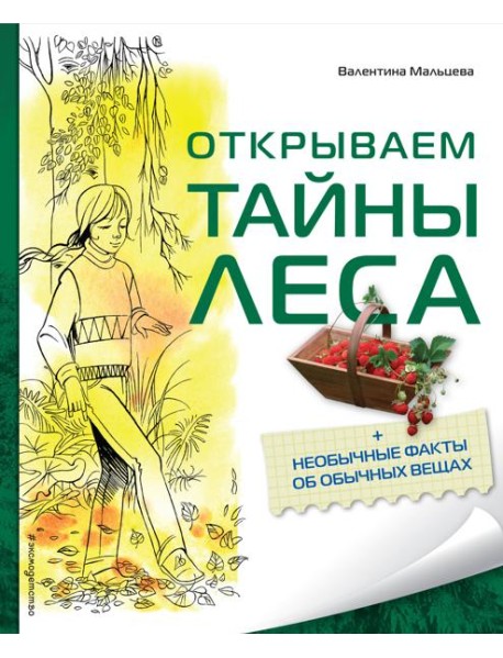 Открываем тайны леса