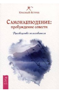 Самонаблюдение: пробуждение совести. Руководство пользователя