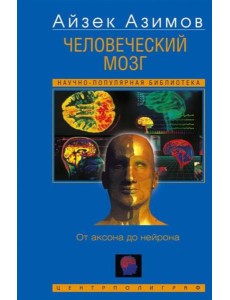 Человеческий мозг. От аксона до нейрона