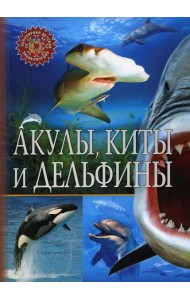 Акулы, киты и дельфины. Популярная детская энциклопедия