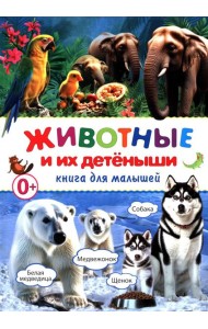 Животные и их детеныши. Книга для малышей