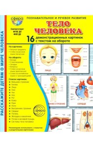 Тело человека. 16 демонстационных картинок с текстом на обороте