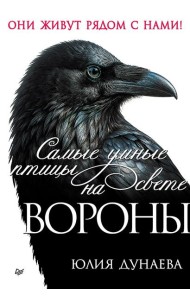 Самые умные птицы на свете. Вороны