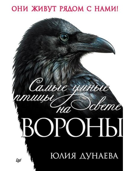 Самые умные птицы на свете. Вороны