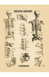 КанцПроф-П Точкабук. Анатомия