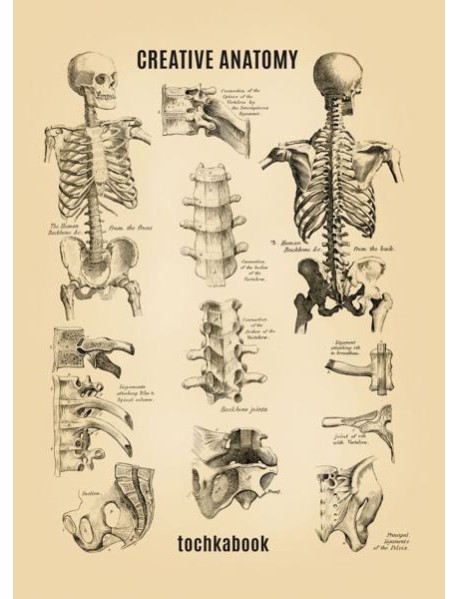 КанцПроф-П Точкабук. Анатомия