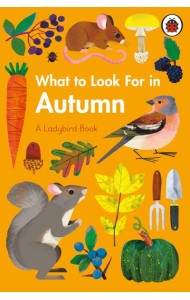 What to Look For in Autumn