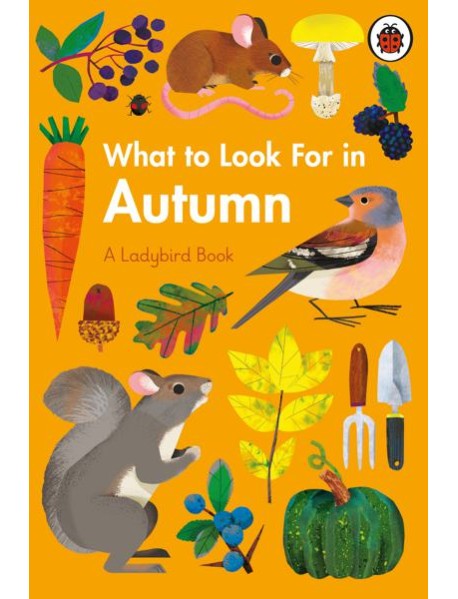 What to Look For in Autumn