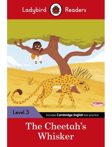 Ladybird Readers Level 3 Tales from Af