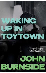 Waking Up in Toytown