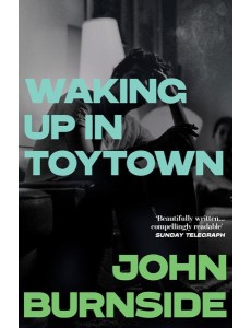 Waking Up in Toytown